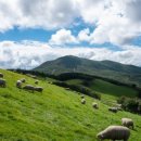 아담목장 이미지