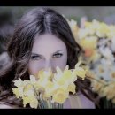 캐롤 키드(Carol Kidd)의 'Seven Daffodils(일곱 송이 수선화)' 이미지