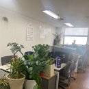 일오삼세탁 이미지