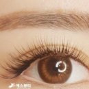 에스뷰티(S BEAUTY)