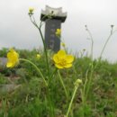 미강서원터 이미지