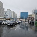 유정장어 이미지