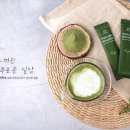 오렌지나무 이미지