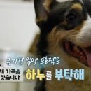 (주)하누