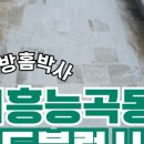 해드림농장 네이버블로그