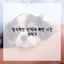 배변의기술 이미지