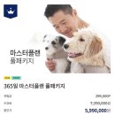 마스터플랜컴퍼니 이미지