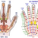 농백혈이란 ? - 농백혈류딸점과 혈류딸점열 명칭 이미지