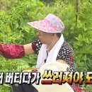 아눈 이미지