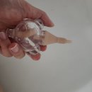 포근 | 전동식 콧물흡입기 쓰다 수동식으로 돌아온 이유｜한일 포근 후기와 피지오머 선택