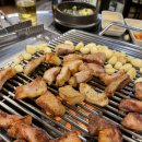 맛짱갈매기