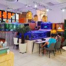 리틀 블루문 이미지