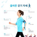 애룰바디 이미지