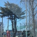 환경로 | [김천맛집] 짬뽕 제대로 하는 김천중국집, 요리까지 만족했던 곳 "짬뽕먹는날"