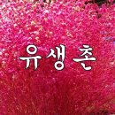 유생촌 목포남악점 이미지