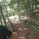 호돌이작은도서관 이미지