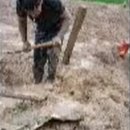 천수태양광발전소 이미지