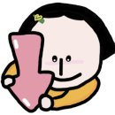 도도 켄넬 이미지