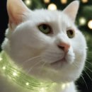 반곡동 작은동물병원 이미지