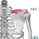 해가든 필라테스 이미지