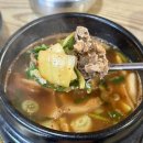 한우 농장 | 남양주 다산신도시 맛집 소고기 영광호한우농장 직영식당 후기