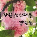 성산패총 이미지
