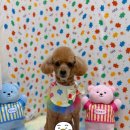 몽개몽개 이미지