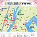 진천군 농다리 | 가요제에 진심인 생거진천 농다리 축제 참여후기