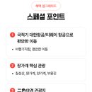 알파항공여행사
