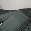 아르지오 | 사계절 딥그린 이불 추천 l 색감 딱 좋은, 아르지오 차렵이불세트