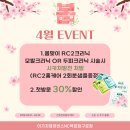 벚꽃헤어 티스토리