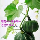 몸이 내는 소리에 관심을 가지세요. 이미지