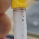 잉크천지 이미지