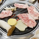 불막열삼 티스토리