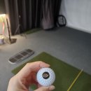 조이골프 | 조이오퓨저 프리미엄 풀케르 골프공 차량용 방향제 사용 후기