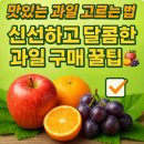 부자과일 이미지