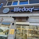 라이프독 강릉점 24시 강아지분양 고양이분양 | 라이프독 강릉점 24시 강아지 고양이 강릉애견분양 이용 후기