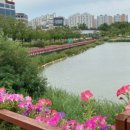 배다리저수지 주변 이미지