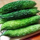 여주-1127 이미지