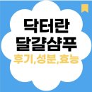 닥터란 달걀샴푸 후기 – 두피가 편안해진 이유는?