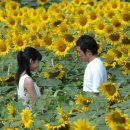 리메이크케이크 이미지