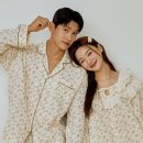 소노플라워 이미지