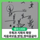 [개포1] 디자인펜 캘리그라피 | [성장일기] 캘리그라피의 주획과 지획의 확장 그리고 자음·모음·받침의 이해