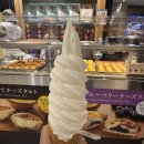 향수 농장 | 일본 삿포로 디저트 소프트 아이스크림 맛집 키노토야, 삿포로농학교, 마치무라농장 3곳 비교