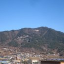 용주농원