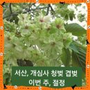 (주)금강렌트카 | 서산, 개심사 마음을 열어 깨달음을 얻고 청벚과 겹벚을 만나고 오다.