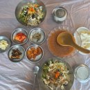 돌고래횟집 | ​[경주 감포]'돌고래횟집'명품물회 맛집 내돈내산 방문 후기