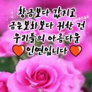 5월 13일(월) 출석글 / 인연~ 이미지