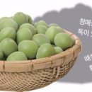 매실박사
