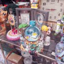 피자리오시오 이미지